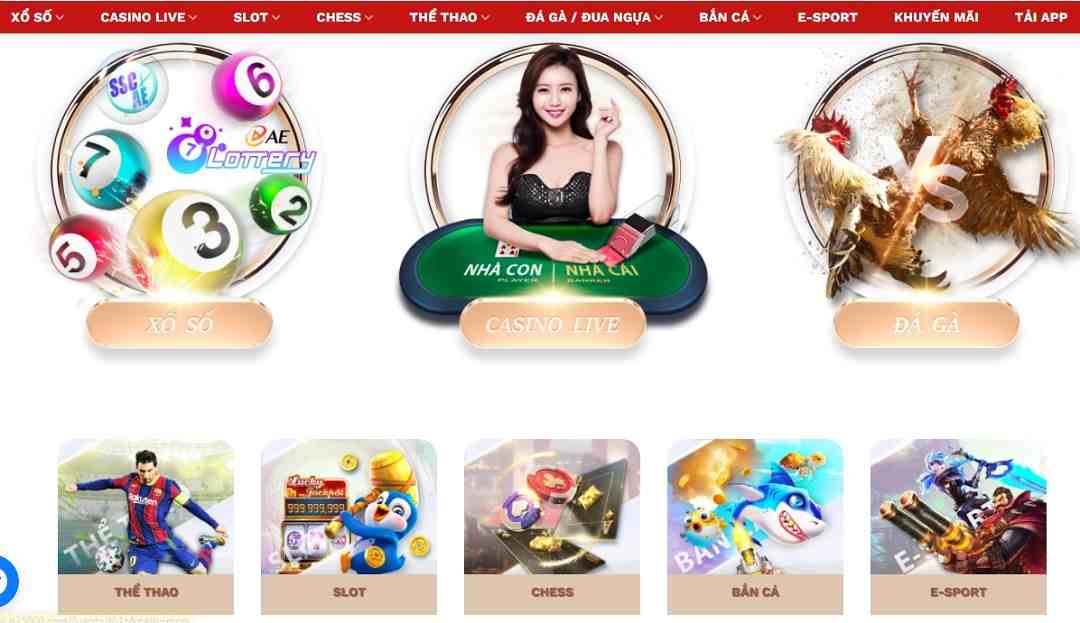 Tham gia cá cược tại Casino trên P3